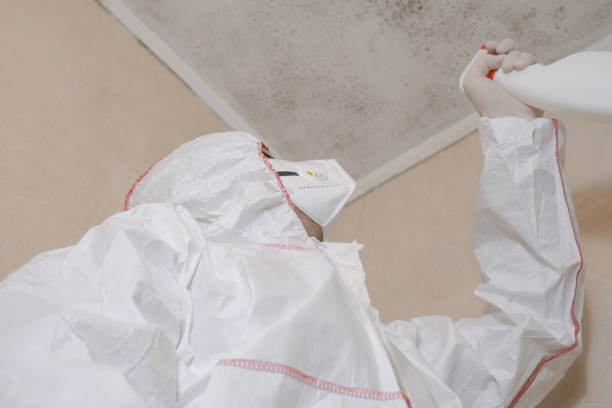 Best Attic Mold Removal  in Redwood, TX