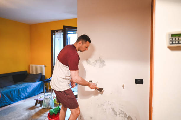 Best Same-Day Mold Removal  in Redwood, TX