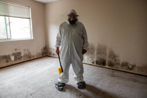 Best Professional Mold Removal  in Redwood, TX