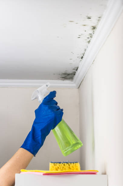 Best Residential Mold Removal  in Redwood, TX