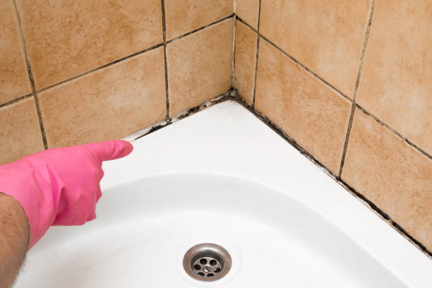 Home Mold Removal in Redwood, TX